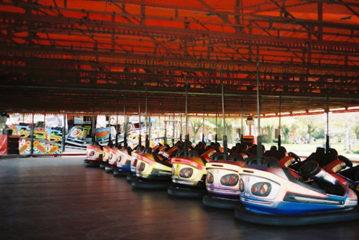 Bumper Cars